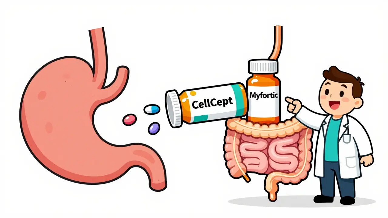 Vergleich der Medikamentenfreisetzung zwischen CellCept und Myfortic im Cartoon-Stil